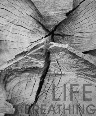 մɽ(jng)N̵ġʹcλ?